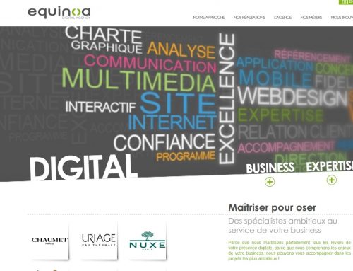 Equinoa : SEO multilingual translation for a digital strategy consulting agency