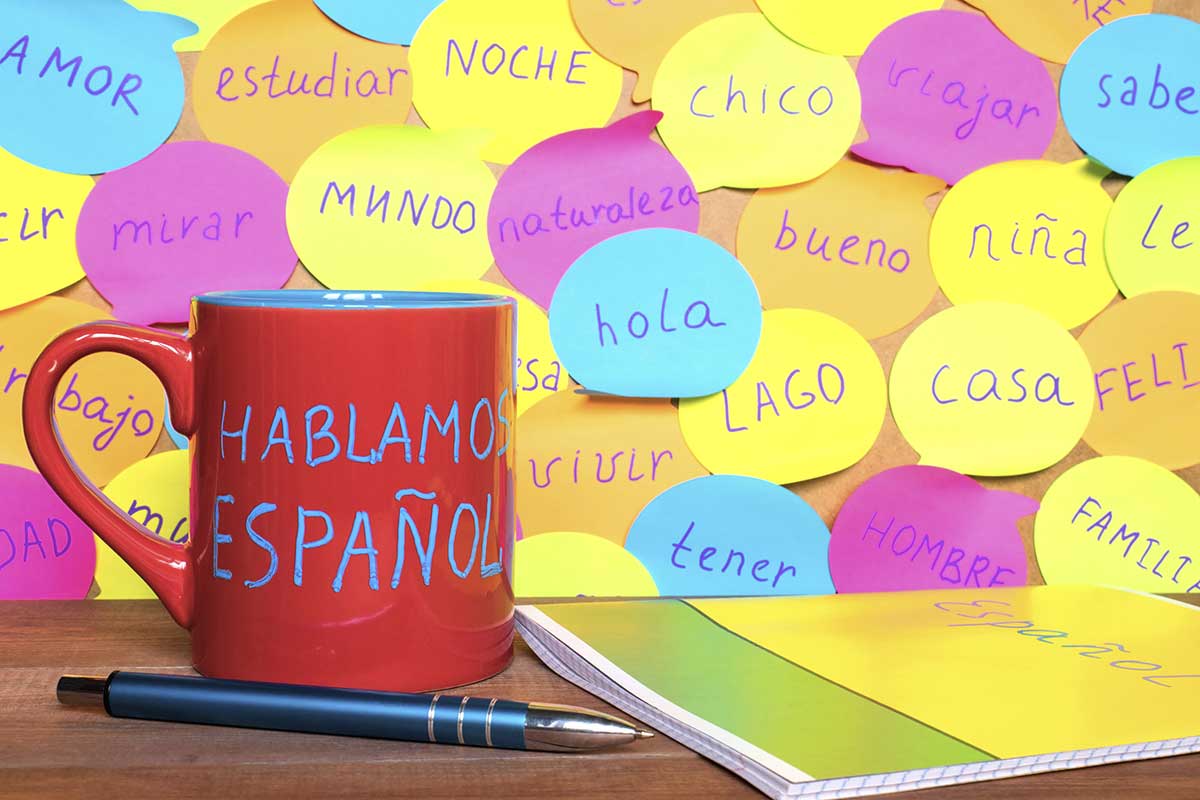 Las diferencias entre el español de España y el español de Latinoamérica - Milega