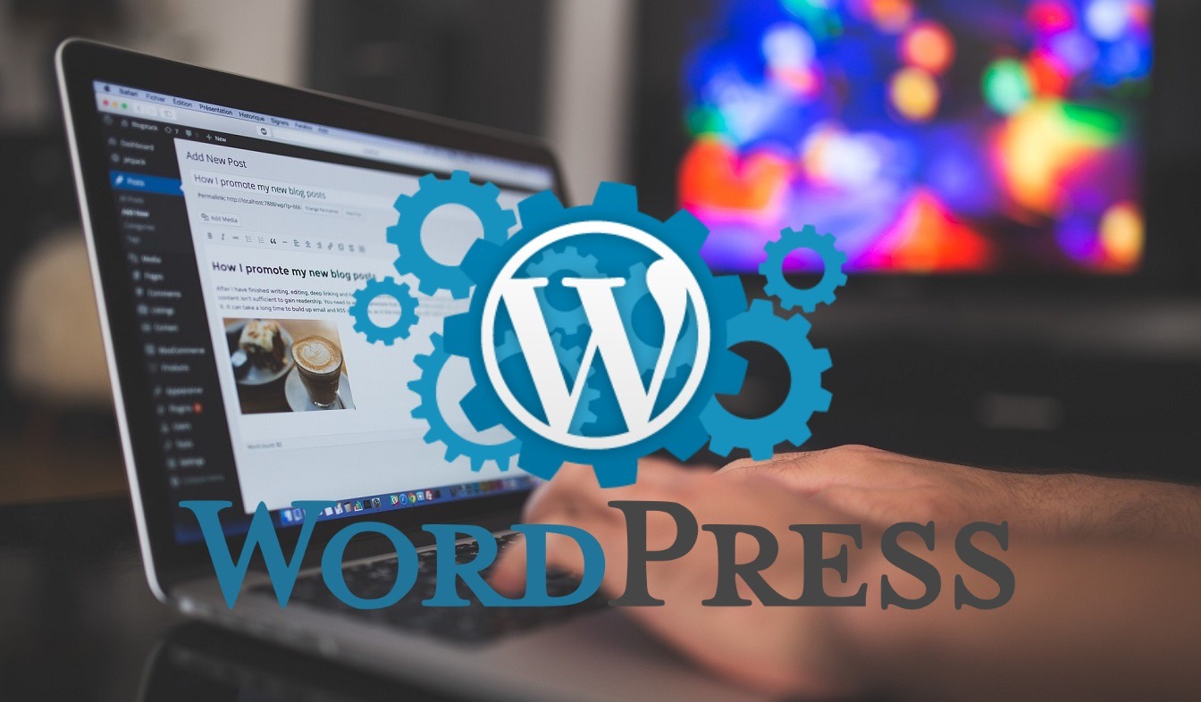 Plugins de traduction WordPress | Milega