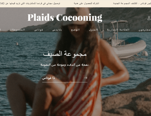 Cas Pratique : Localisation du site  Plaids Cocooning : Deepl pro / langshop / glossaire humain